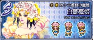 白薔薇